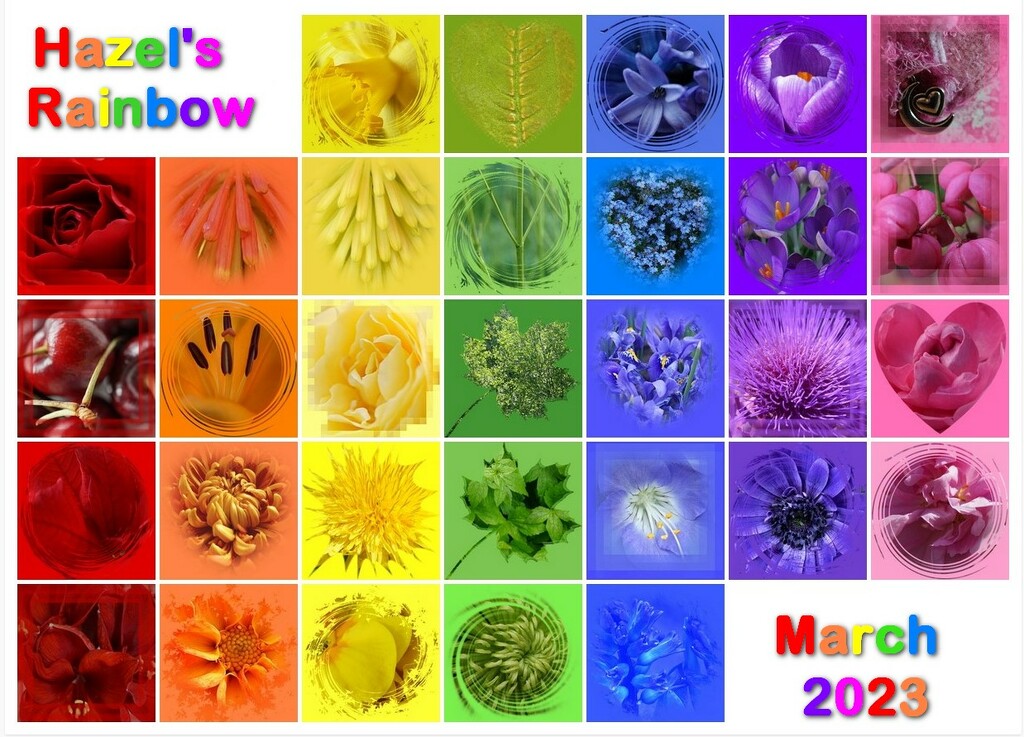 my rainbow 2023 htp quietpurplehazepp by quietpurplehaze