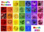 1st Apr 2023 - my rainbow 2023 htp quietpurplehazepp