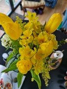 31st Mar 2023 - Profusion of yellow