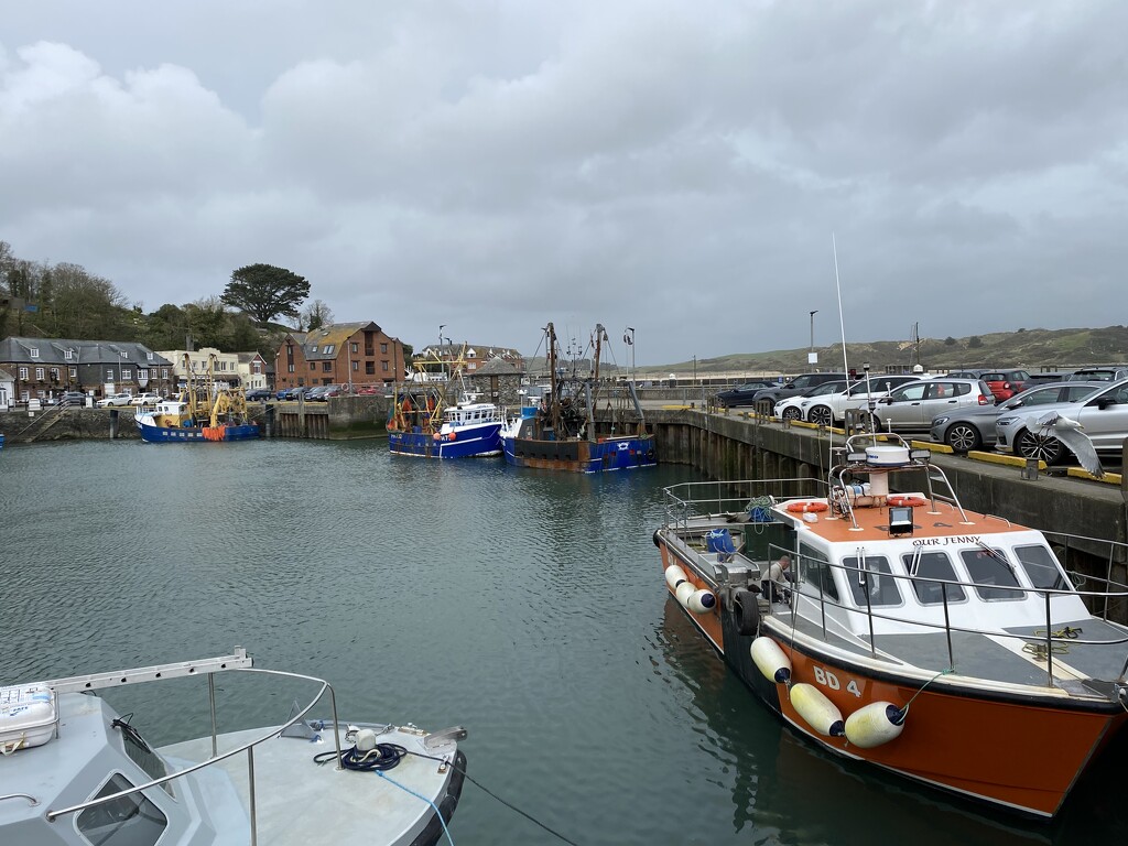 Padstow Harbour by gillian1912
