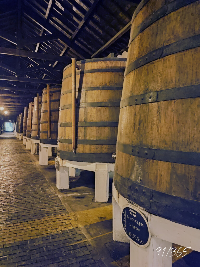 Wine cellar in Oporto by franbalsera