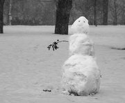 23rd Mar 2023 - Spring snowman