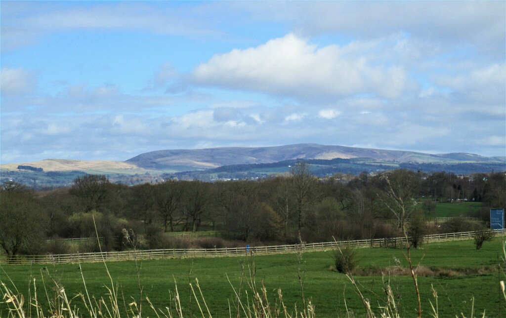 A canal side view of Pendle Hill. From Rishton. by grace55
