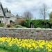 Daffodils in Dalbeattie  by samcat