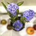 Hyacinth Still  by rensala