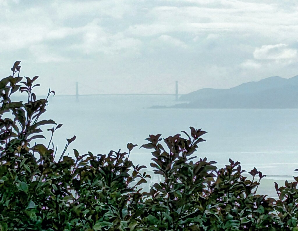 Golden Gate Bridge  by kathybc