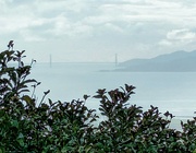 1st Apr 2023 - Golden Gate Bridge 