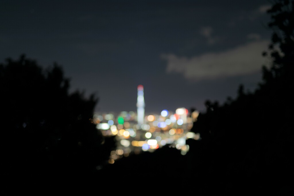 Sneak preview of auckland by creative_shots