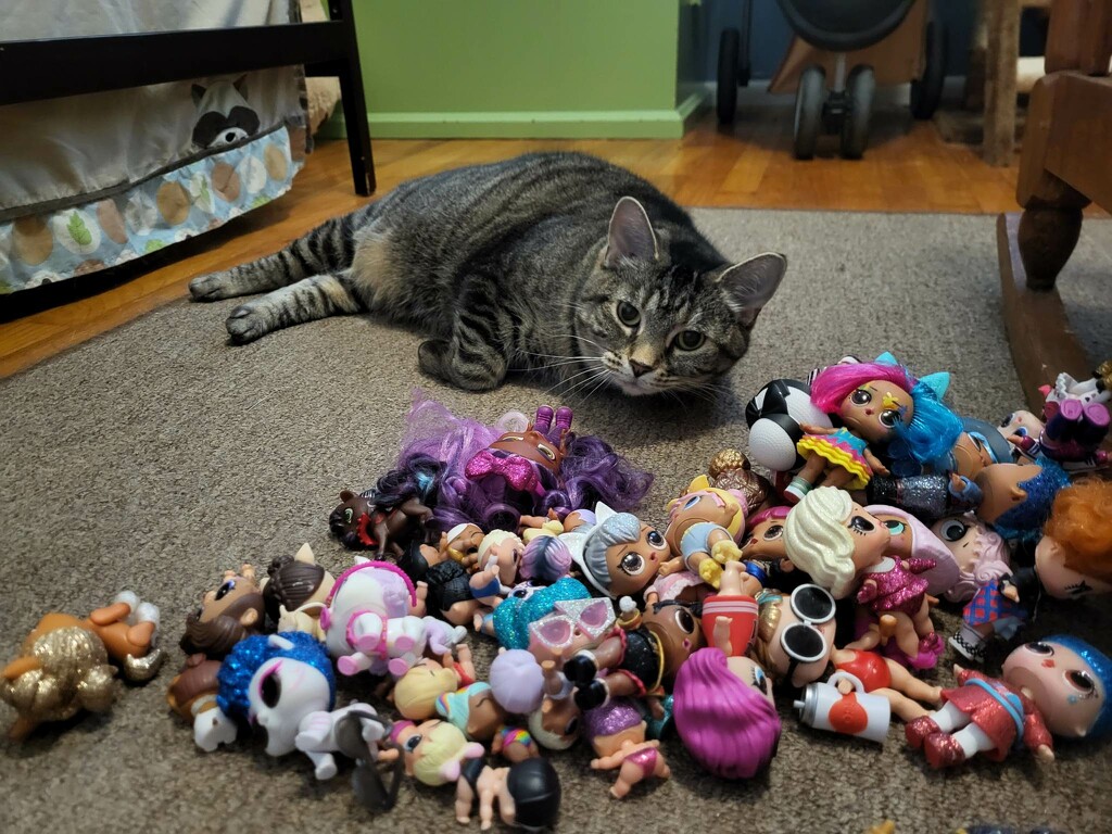 Guarding the toys by scoobylou