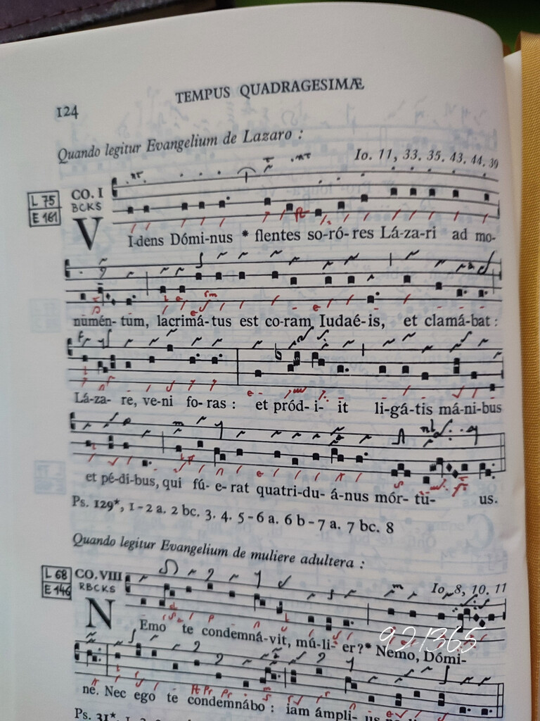 Gregorian chant by franbalsera