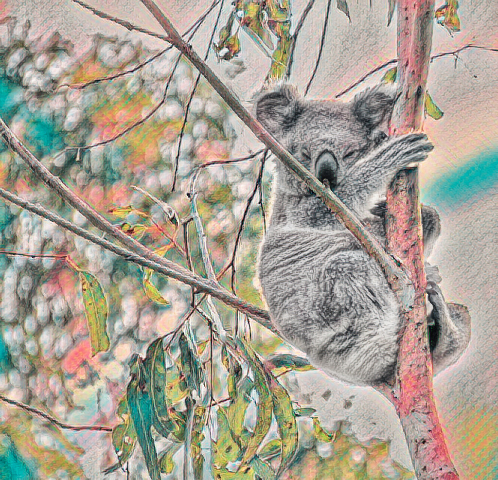 30 days by koalagardens