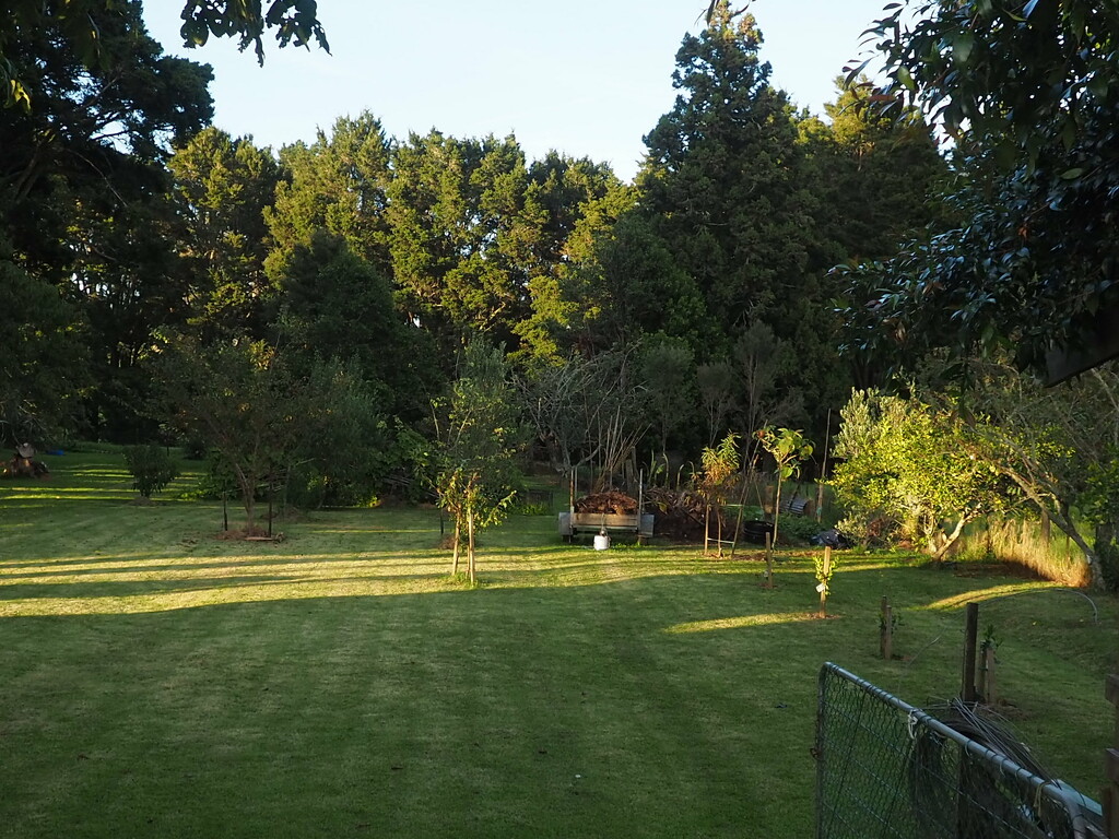 The back area of our home  by Dawn