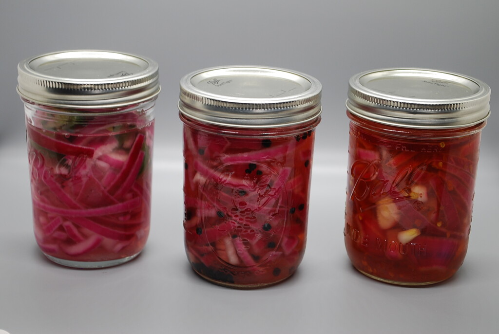 Pickled Red Onions by stillmoments33
