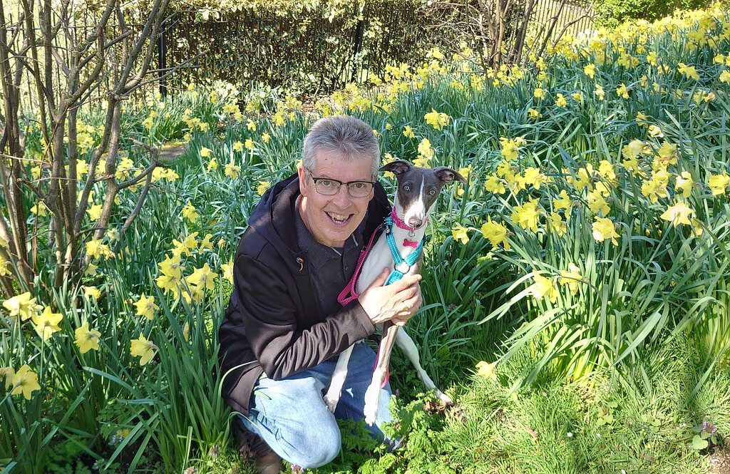 Phil and Elsie In The Daffodils (Mobile Phone Shot) by phil_howcroft
