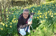 3rd Apr 2023 - Phil and Elsie In The Daffodils (Mobile Phone Shot)