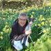 Phil and Elsie In The Daffodils (Mobile Phone Shot) by phil_howcroft