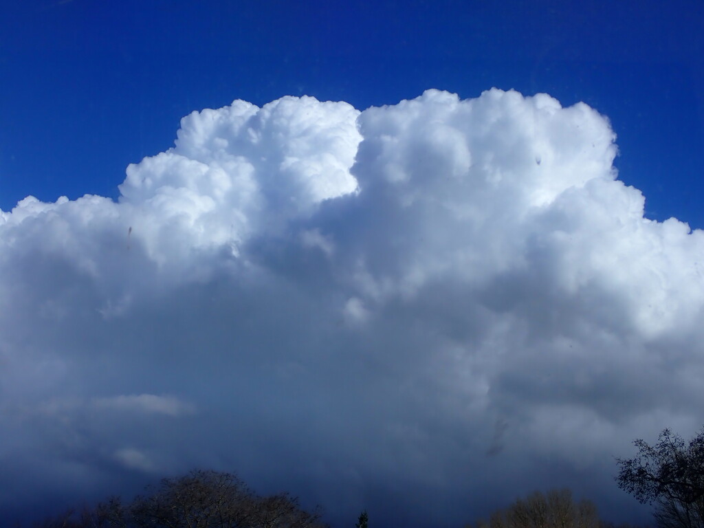 Towering clouds by speedwell
