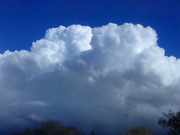 17th Mar 2023 - Towering clouds