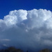 Towering clouds by speedwell