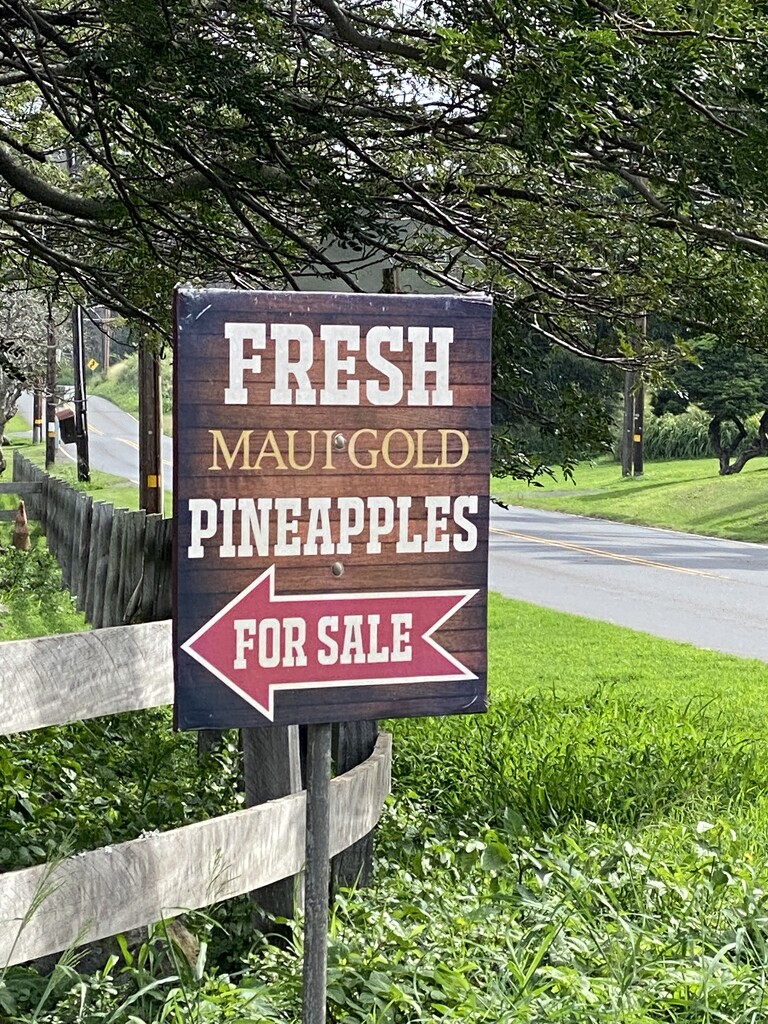 Pineapple for sale by clay88