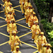 Falun Dafa Marching by ososki