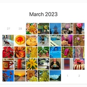 31st Mar 2023 - So glad to complete a calendar! 