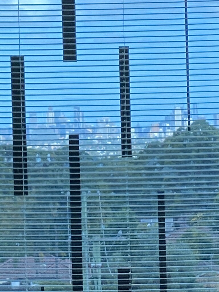 Sydney skyline from hospital window through the venetian blinds. I just couldn’t get my iPhone to focus on anything but the blinds!! by johnfalconer