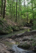 4th Apr 2023 - Owens Creek