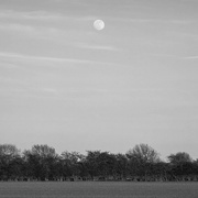 4th Apr 2023 - Moon rising 