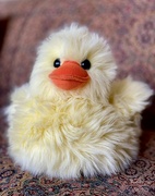 4th Apr 2023 - Fuzzy Chick