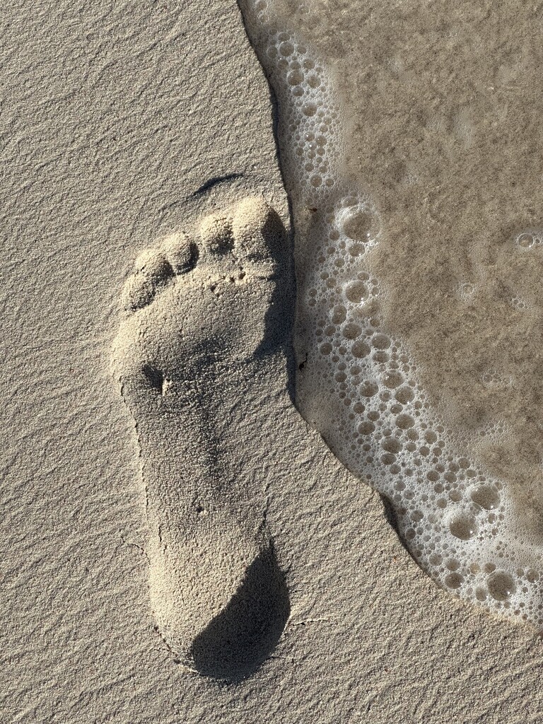 Leave only footprints in the sand by wendystout