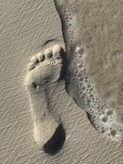 4th Apr 2023 - Leave only footprints in the sand