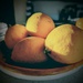 Meyer Lemons by kathybc