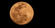 4th Apr 2023 - Tonight's Almost Full Moon!