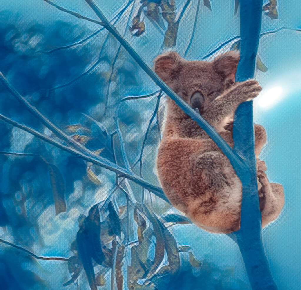 30 days blue edit by koalagardens
