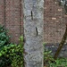 Strange markings on a tree in the Church garden. by grace55