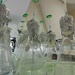 A forest in the lab by belucha