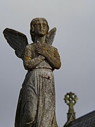 14th Mar 2023 - Angelic 