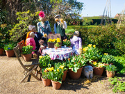 4th Apr 2023 - scarecrows