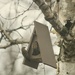 House sparrows at the new birdhouse by mltrotter