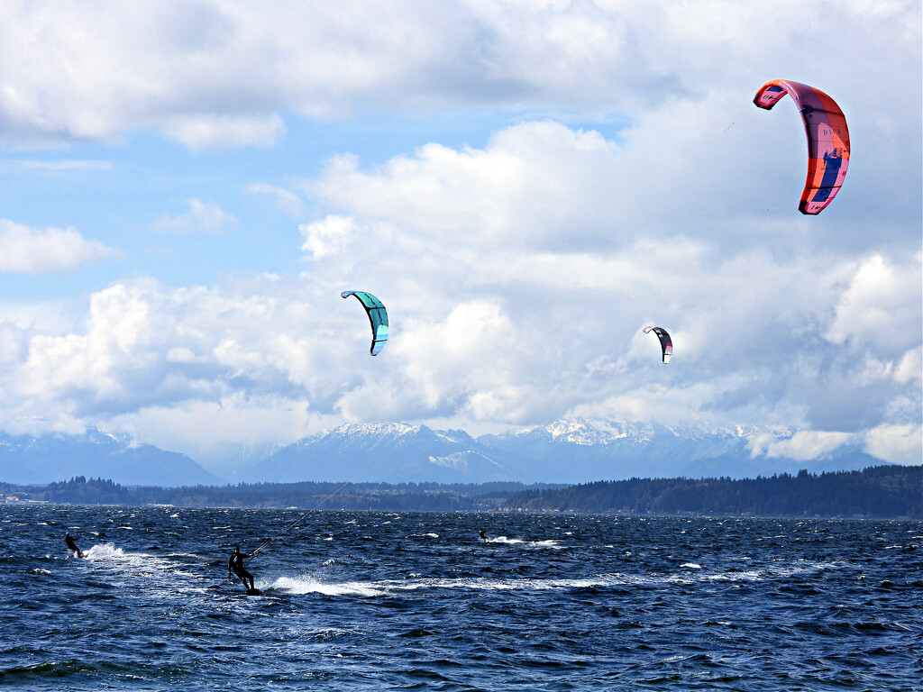 Three Kite Surfers by seattlite