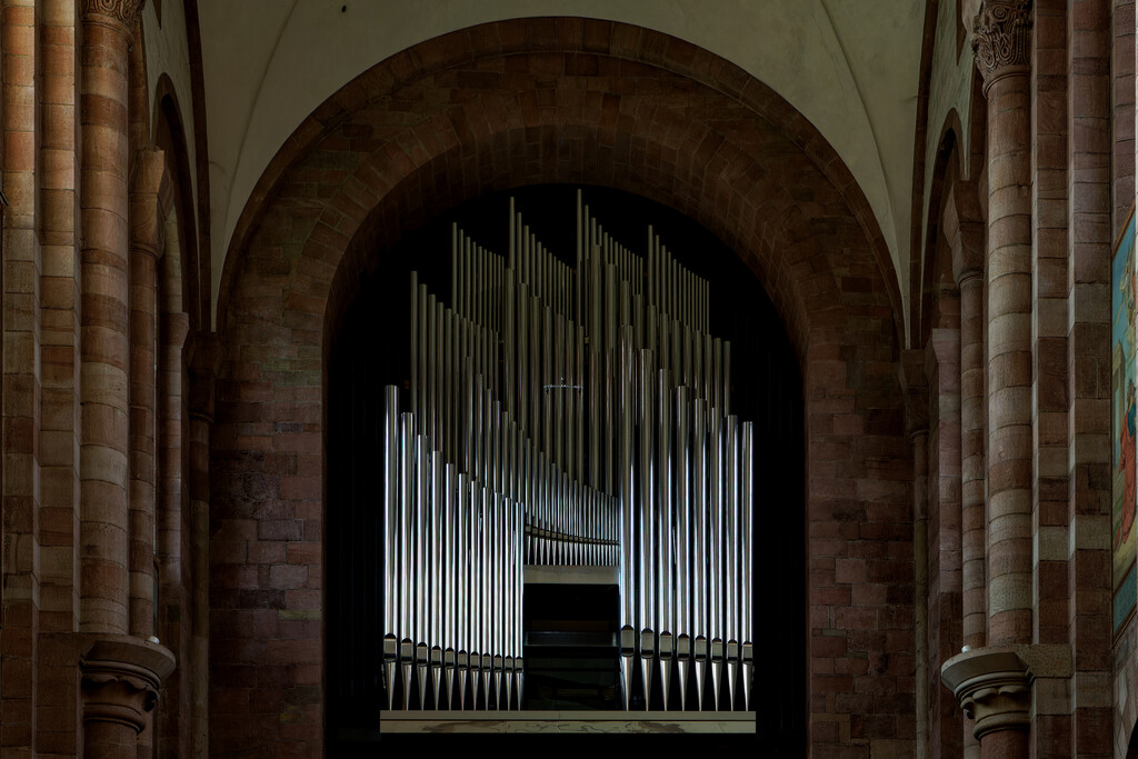 0406 - Organ pipes, Church at Speyer by bob65