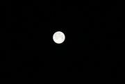 6th Apr 2023 - Strawberry Moon