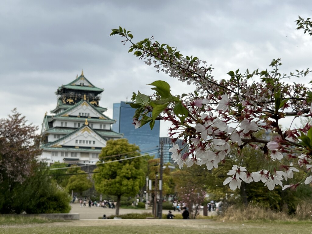 Osaka castle by 520