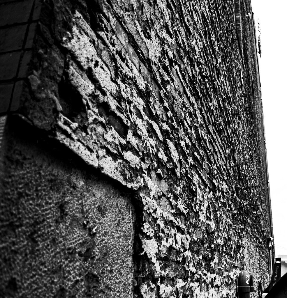 wall_1 by darchibald