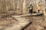 6th Apr 2023 - Boardwalk hiking