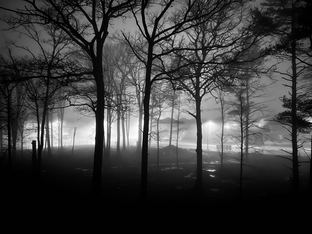 Foggy Night by frantackaberry