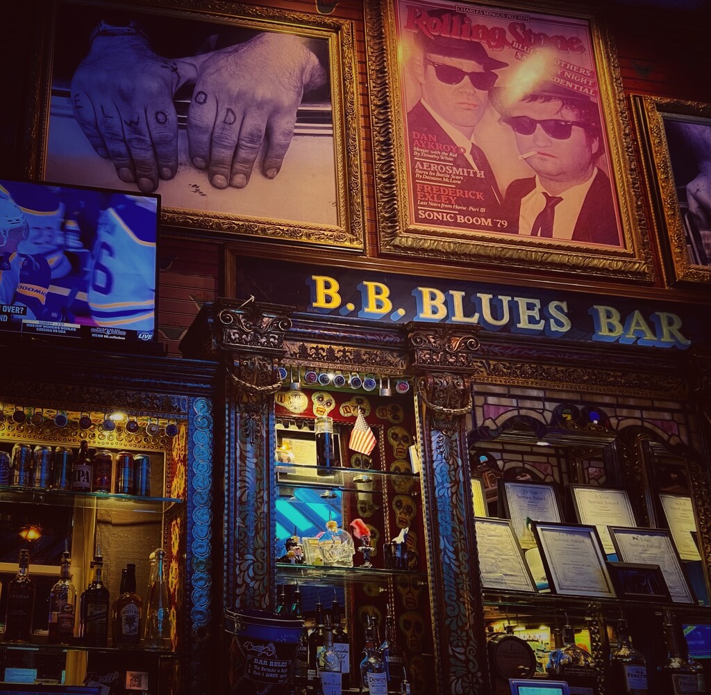 Dinner at ‘House of Blues’ by tinley23