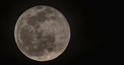 6th Apr 2023 - Tonight's Full Moon!