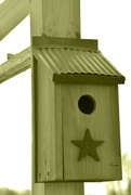 3rd Apr 2023 - It Started With a Birdhouse